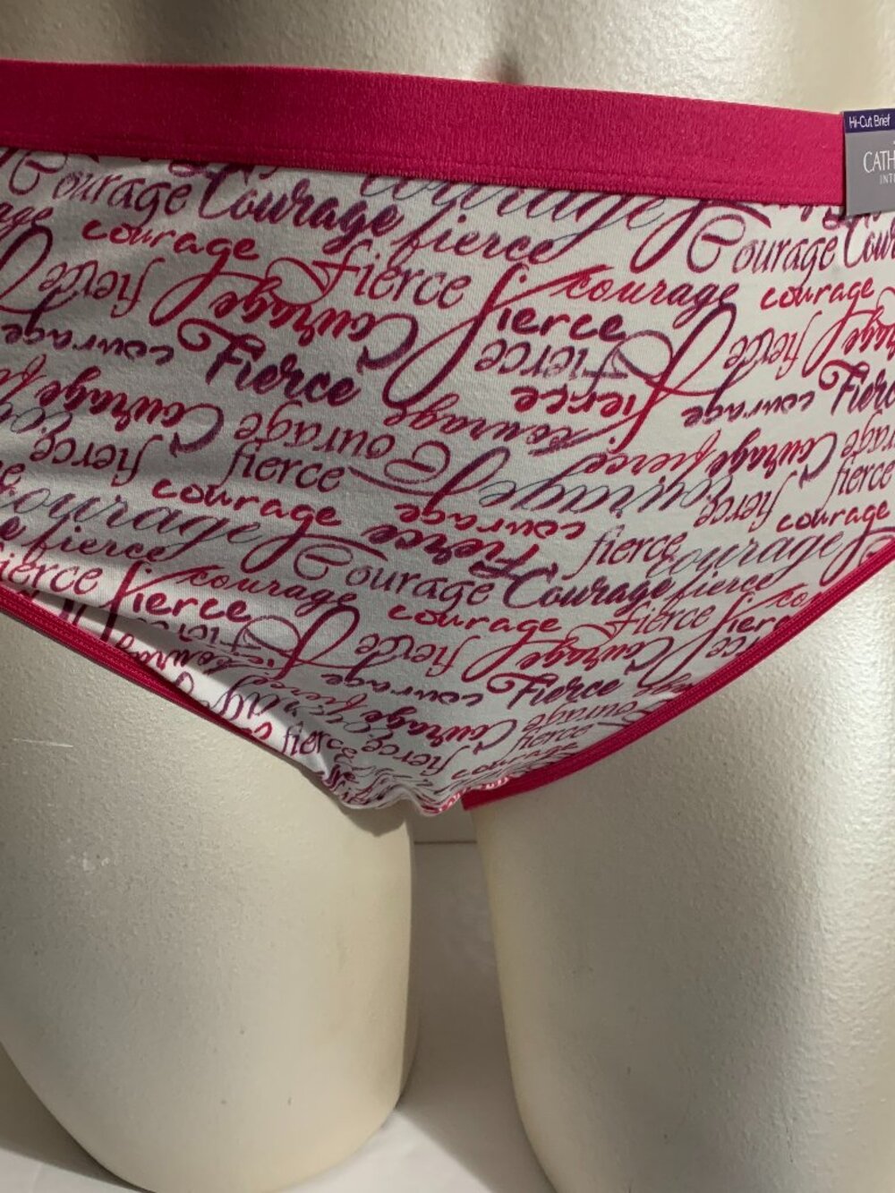 Catherines Hi-Cut Panties Underwear Cotton Blend Inspiration Motivation Plus 2X